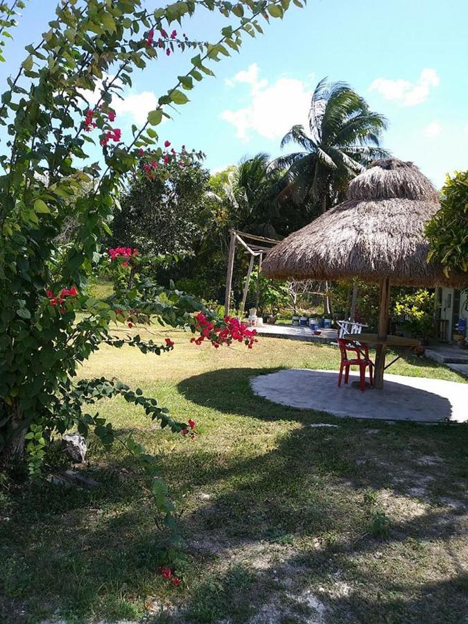 Hotel Templo Maya Xpujil Exteriör bild