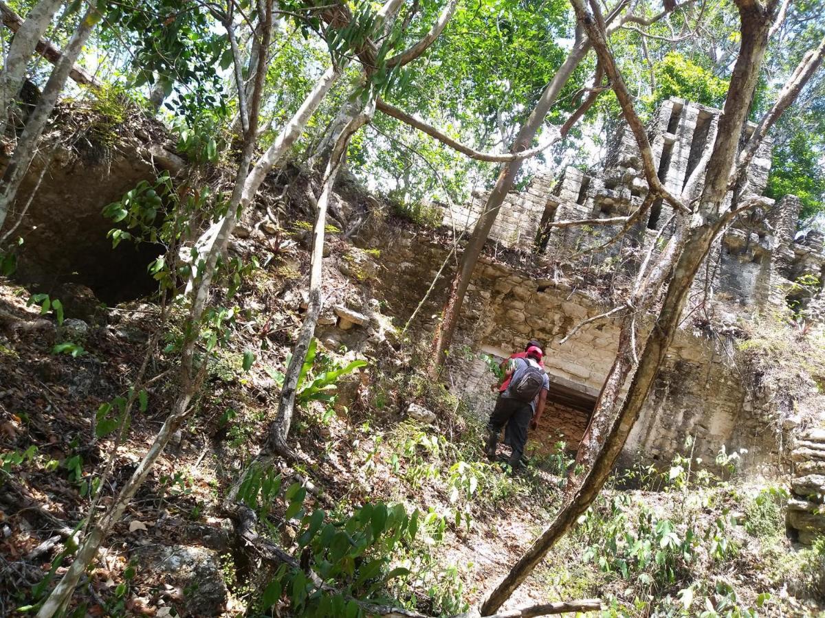 Hotel Templo Maya Xpujil Exteriör bild